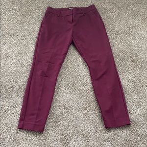 Express women’s columnist pants 2R